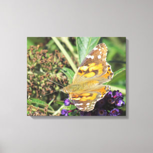 Kanvastryck - Orange Butterfly