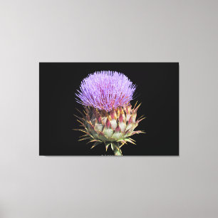 Kanvastryck - Thistle