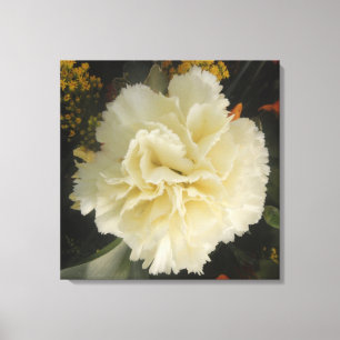 Kanvastryck White Carnation Beauty
