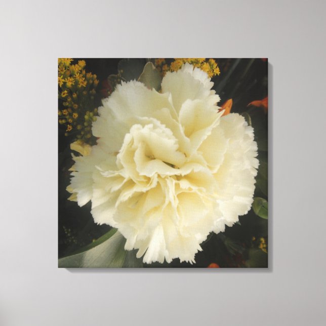 Kanvastryck White Carnation Beauty (Framsida)