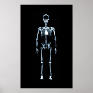 Kanvastryck X-Ray Vision Blue Single Skeleton Poster