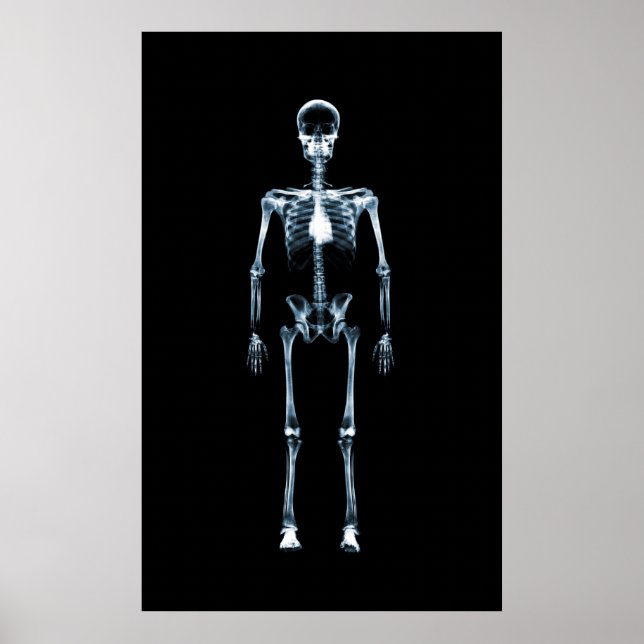 Kanvastryck X-Ray Vision Blue Single Skeleton Poster (Framsidan)