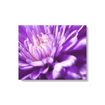 Kanvastrycket abstrakt Blommigt