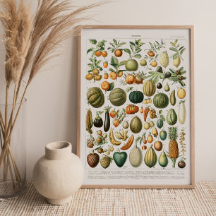Kanvastrycket Adolphe Millot Fruits Canvastryck