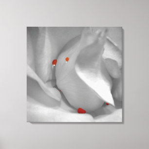 Kanvastrycket Aeolian Watercolor Canvastryck