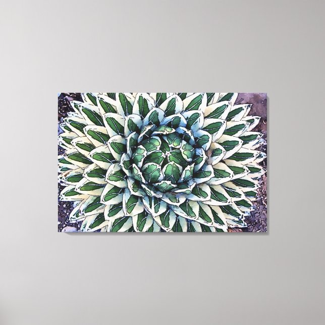 Kanvastrycket Agave victoriae-reginae Canvastryck (Framsida)