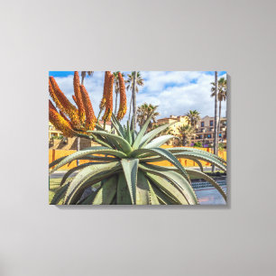 Kanvastrycket Aloe Vera och blommor Canvastryck