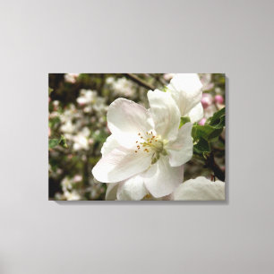 Kanvastrycket Apple Blommar Canvastryck