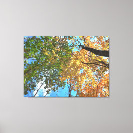 Kanvastrycket Autumn Treetops Lg Canvastryck