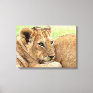 kanvastrycket baby Tiger Canvastryck