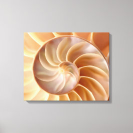 Kanvastrycket Beach Nautilus Snäcka Art Canvastryck