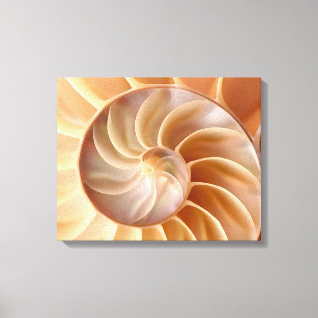 Kanvastrycket Beach Nautilus Snäcka Art Canvastryck (Framsida)