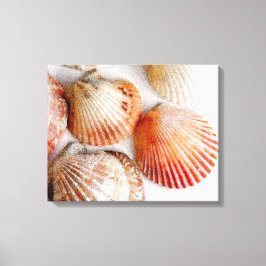 Kanvastrycket Beach Seashells Art Canvastryck