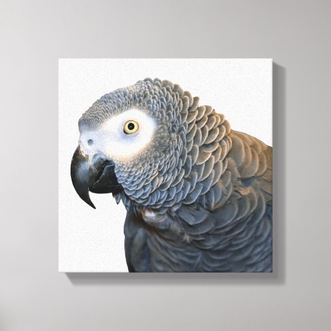 Kanvastrycket Black and White African Grått Parrot Canvastryck (Framsida)