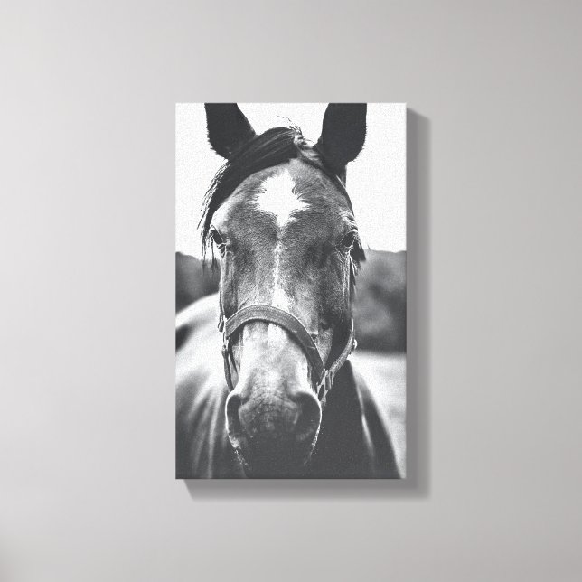 Kanvastrycket Black and White Horse Porträtt Photo Canvastryck (Framsida)