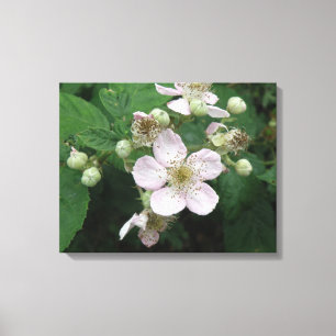 Kanvastrycket Blackberry Flowers Canvastryck