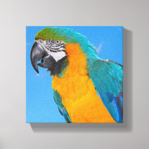 Kanvastrycket Blue och gult macaw Canvastryck