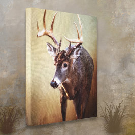 Kanvastrycket Cades Cove Buck Canvastryck