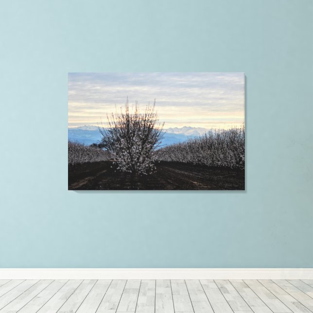 Kanvastrycket Central Valley Ligcape Blooming Canvastryck (Insitu (trägolv))