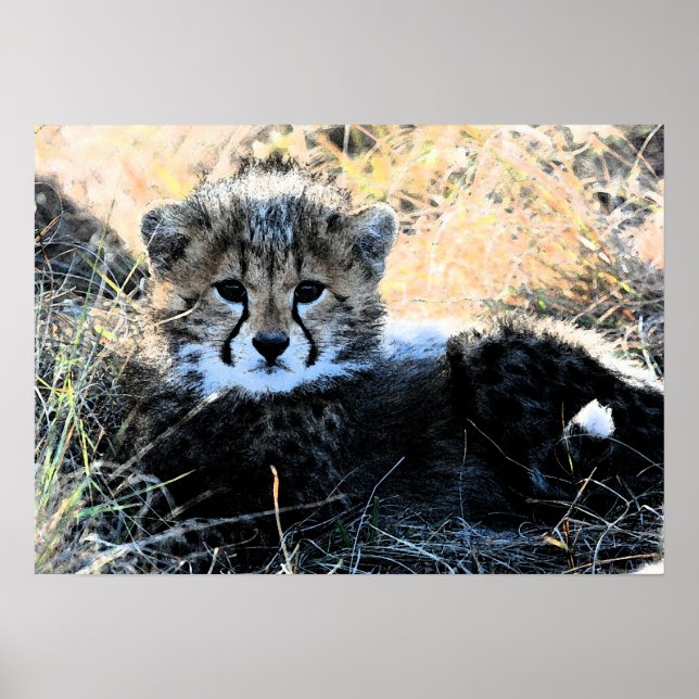 Kanvastrycket Cheetah unge Poster (Framsidan)
