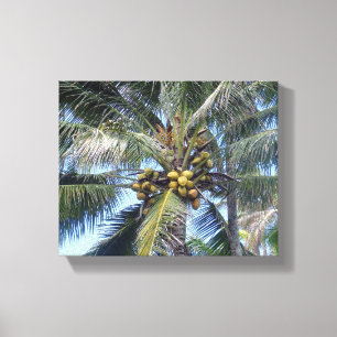 Kanvastrycket Coconut Handflatan 8 x 10 tum Canvastryck