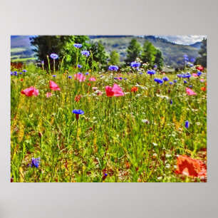 Kanvastrycket Colorado wildblomma Poster