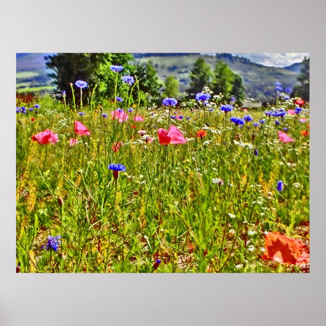 Kanvastrycket Colorado wildblomma Poster (Framsidan)