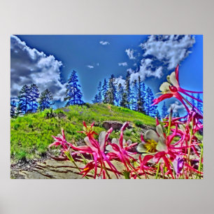 Kanvastrycket Columbine-blommans scener Poster