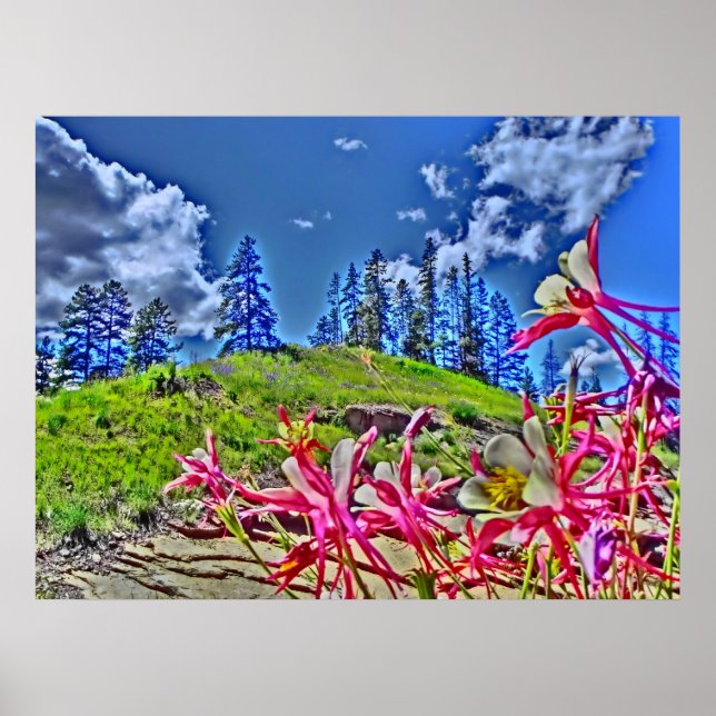 Kanvastrycket Columbine-blommans scener Poster (Framsidan)