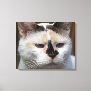 Kanvastrycket Cream Calico 20"x16" Canvastryck
