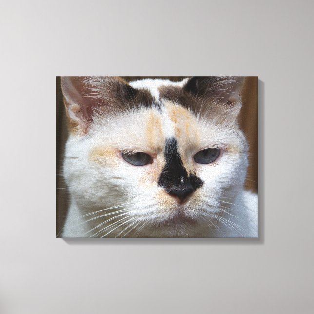 Kanvastrycket Cream Calico 20"x16" Canvastryck (Framsida)