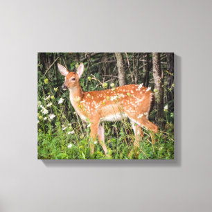 Kanvastrycket Cute Baby djur Fawn Hjort Canvastryck
