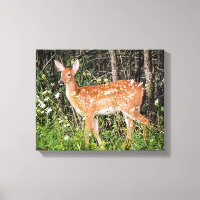 Kanvastrycket Cute Baby djur Fawn Hjort Canvastryck (Framsida)
