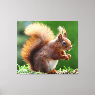 Kanvastrycket Cute Funny Squirrel Canvastryck