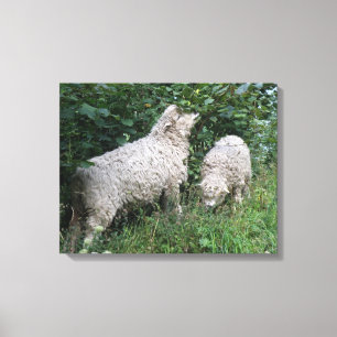 Kanvastrycket Cute Sheep EEG Löv Canvastryck