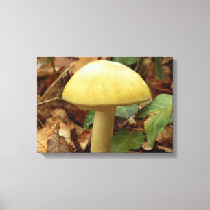 Kanvastrycket Deathcap Mushroom Canvastryck