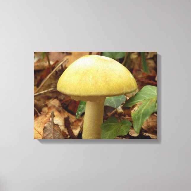 Kanvastrycket Deathcap Mushroom Canvastryck (Framsida)