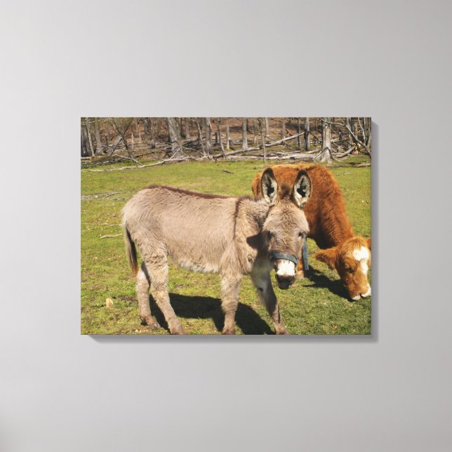 Kanvastrycket Donkey/Cow Stretched Canvastryck (Framsida)