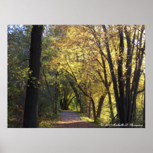 Kanvastrycket Fall Färgad Trail Poster