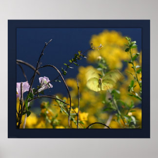 Kanvastrycket för fjäril Moment -24x20 -eller mind Poster