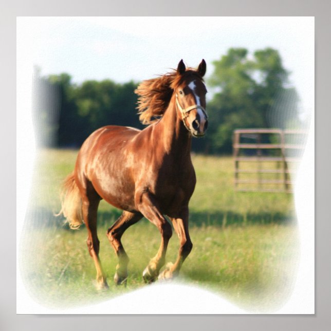Kanvastrycket Galloping Chestnut Poster (Framsidan)