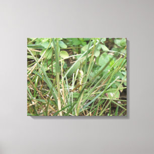 Kanvastrycket Grashopper Camouflage Canvastryck
