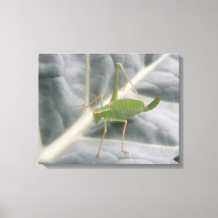 Kanvastrycket grönt Cricket-makro Canvastryck