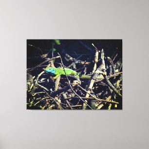 Kanvastrycket grönt Lizard Stretched Canvastryck