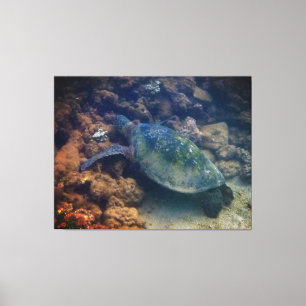 Kanvastrycket grönt Sea Turtle Canvastryck