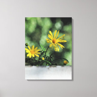 Kanvastrycket gult Aster Wildblommblommor Canvastryck