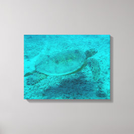 Kanvastrycket Hawaii Grönt Sea Turtle Canvastryck