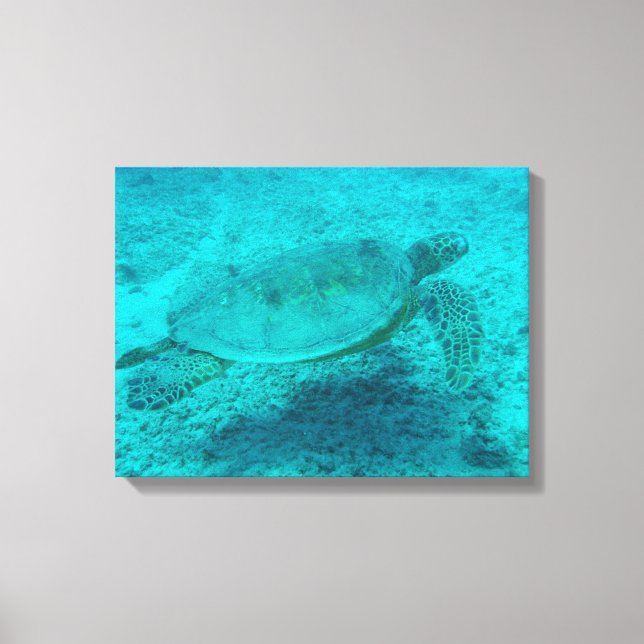 Kanvastrycket Hawaii Grönt Sea Turtle Canvastryck (Framsida)