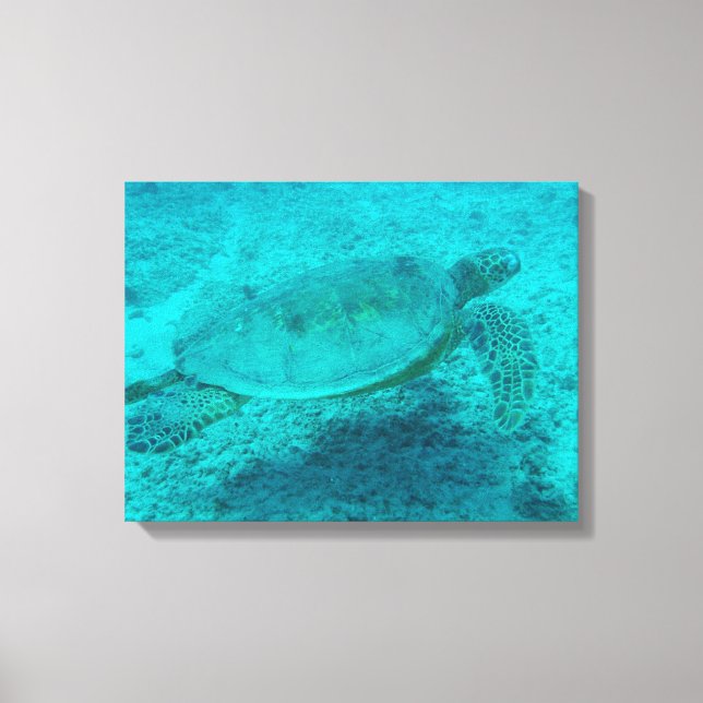 Kanvastrycket Hawaii Grönt Sea Turtle Canvastryck (Framsida)