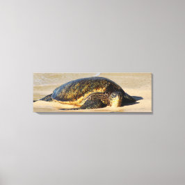Kanvastrycket Hawaiian Sea Turtle Canvastryck